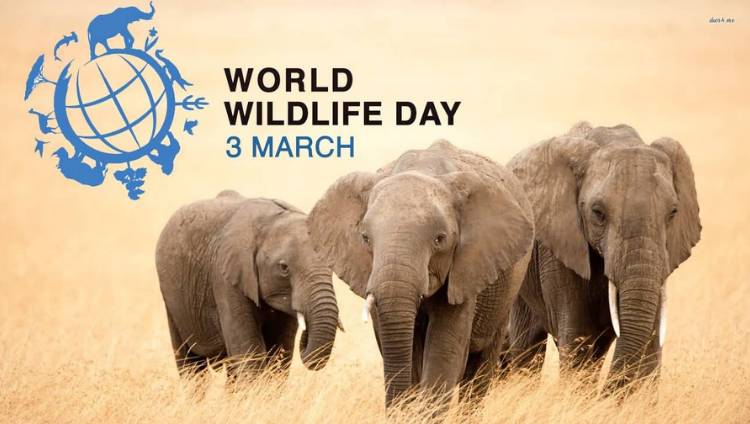 Why do we celebrate World Wildlife Day : History , Theme of 2022