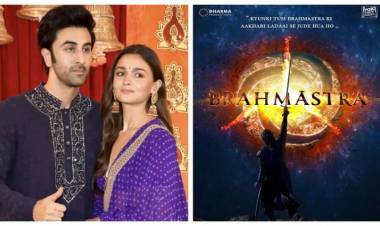 This Is What Alia Confessed To The Media......