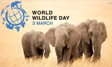 Why do we celebrate World Wildlife Day : History , Theme of 2022