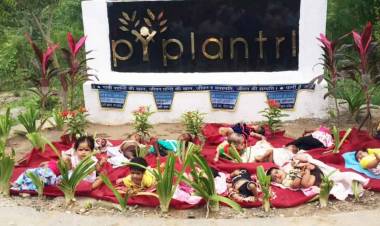 Piplantri: A village where every girl child is blessing
