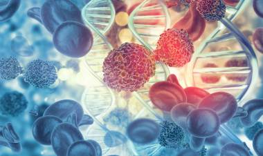 For The First Time In History, Cancer Disappeared In 18 Patients