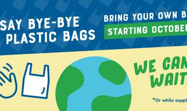 What is the impact of using plastic? & HOW TO REDUCE?