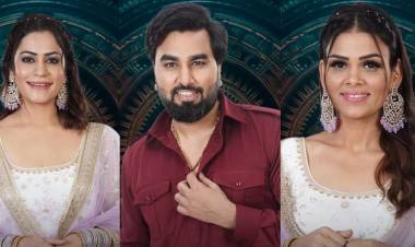 Bigg Boss OTT 3: Complete List of Contestants for Anil Kapoor's Show Bigg Boss OTT 3