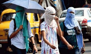 How to Stay Cool in This Harsh Summer!