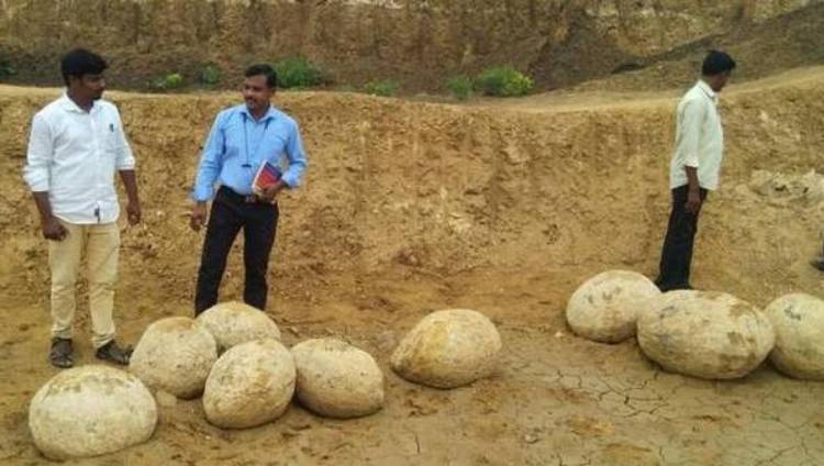  'Dinosaur eggs' found in Tamil Nadu