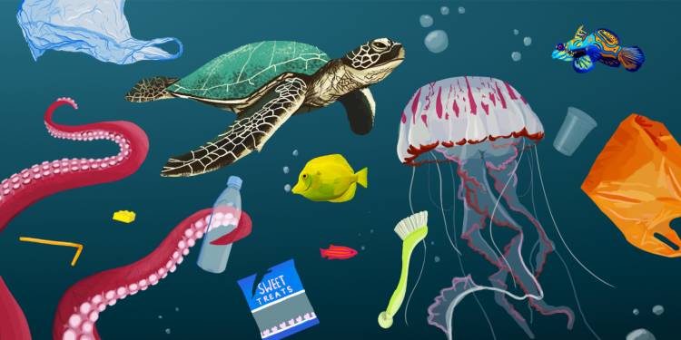 Plastic waste pollution | Affect | Climate Change 