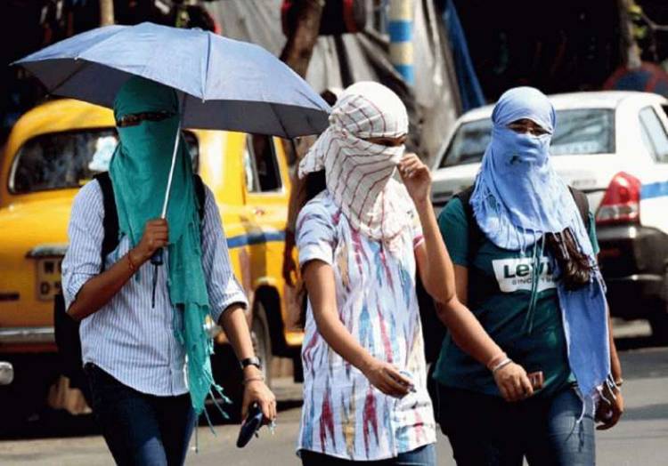 How to Stay Cool in This Harsh Summer!